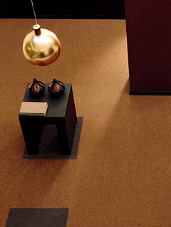 Globe Project Terra